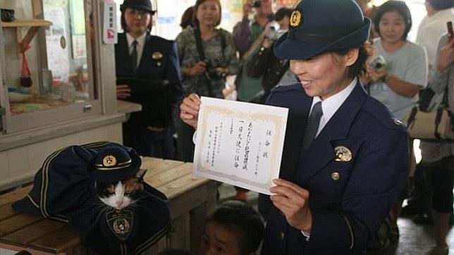 Tama, la gata que salvó a una estación de tren japonesa de la ruina financiera