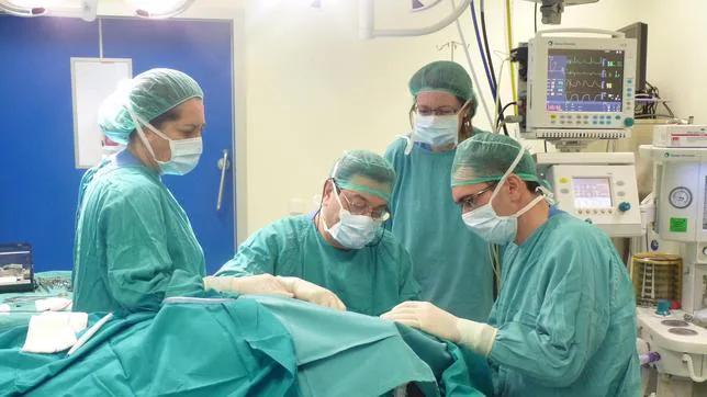 Un médico italiano quiere practicar el  primer trasplante de cabeza en 2017 