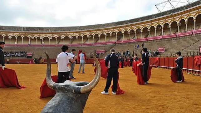 ¿Quieres aprender a torear en la Maestranza de Sevilla?