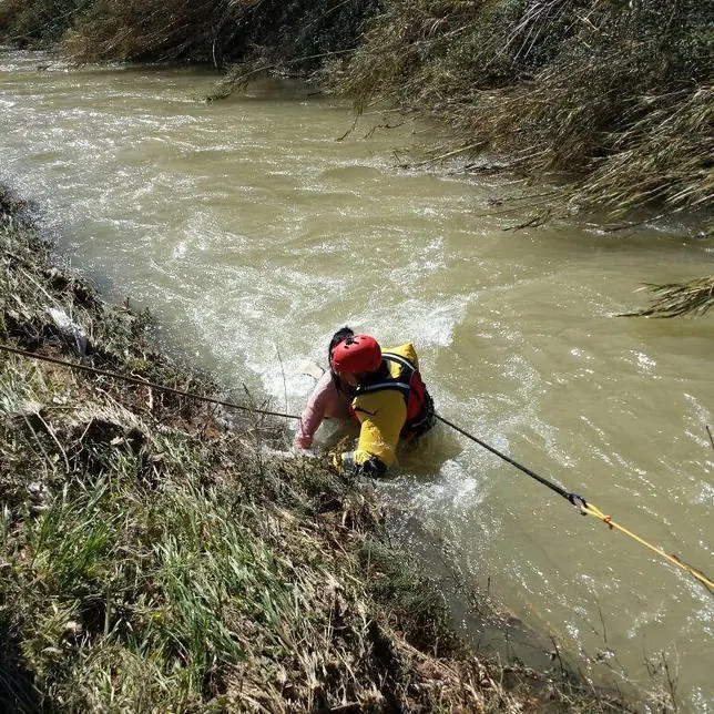 Los bomberos salvan la vida a una mujer que se tiró al Turia para rescatar a su perro