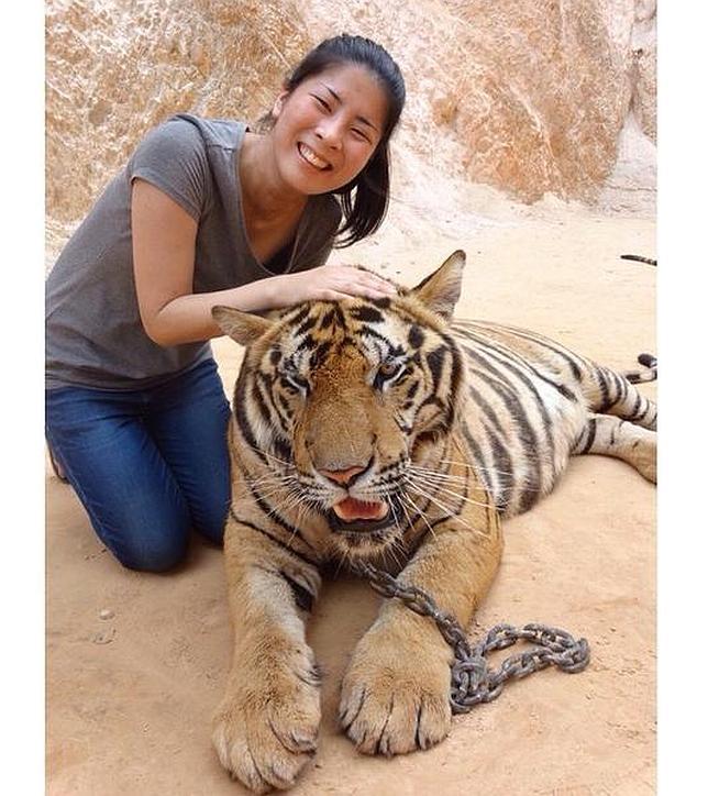 Resultado de imagen de foto con un tigre