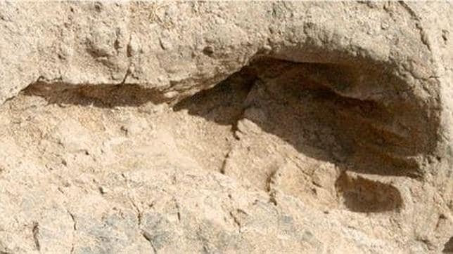 Descubren las huellas que un Homo Erectus dejó «impresas» en la tierra mientras cazaba antílopes