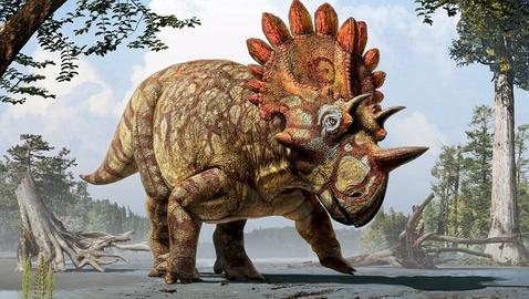 Su nombre científico es «Regaliceratops peterhewsi»