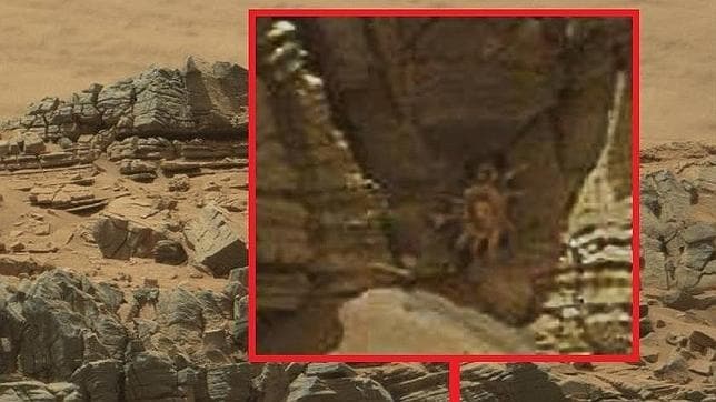 El extraño «cangrejo alienígena» que ha aparecido en Marte 