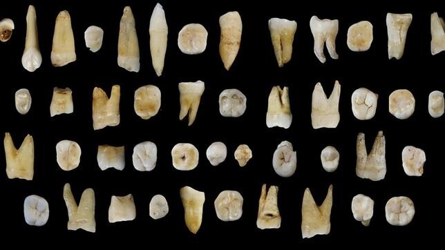 El Homo Sapiens llegó a China hace unos  100.000 años, mucho antes que a Europa