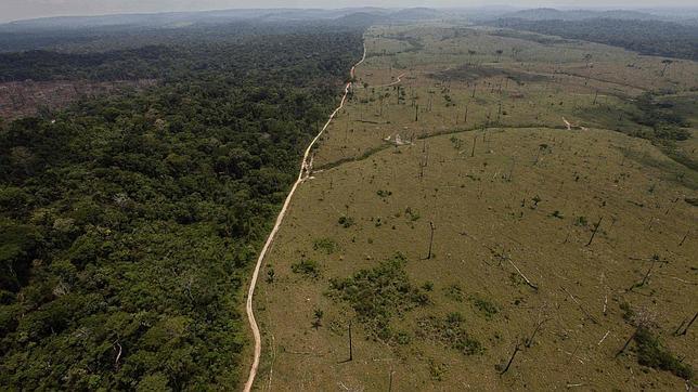 Una nueva ley amenaza con acelerar la deforestacin en la Amazonia brasilea