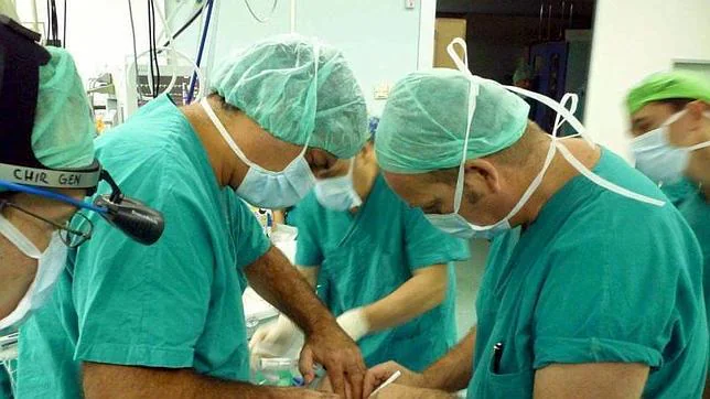 Los trasplantes, la joya de la corona de la Sanidad española