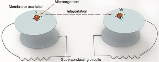 Este es el esquema propuesto por Tongcan Li y Zhang-qi Yin para teletransportar un organismo