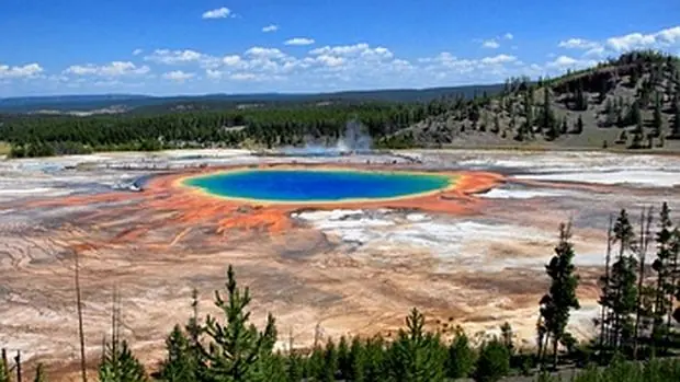 Piscinas calientes como la del Parque Yellowstone constituyen auténticos tesoros de especies desconocidas