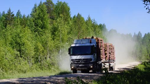 Extracción de madera en zonas remotas del bosque boreal en la región de Archangelsk (Rusia)