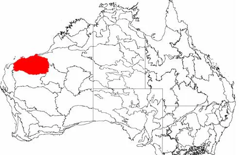 Cratón de Pilbara (coloreado en rojo), al noroeste de Australia