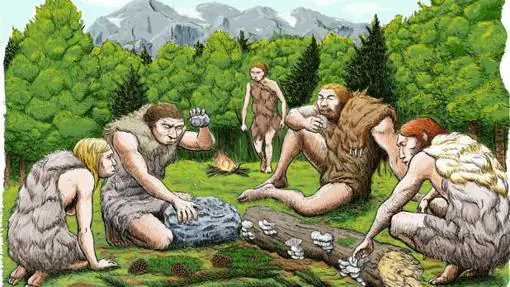 Los neandertales de El Sidrón se alimentaban de restos de piñones, musgo y setas