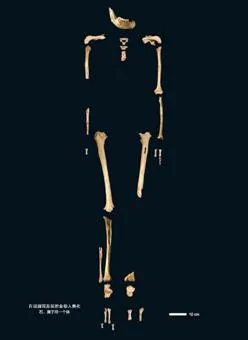 Esqueleto del Hombre de Tianyuan, de 40.000 años de antigüedad