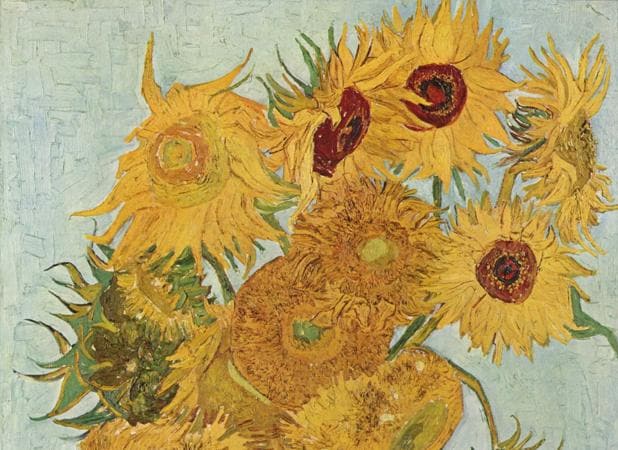 Vincent_Willem_van_Gogh_128-knrC-U30137237507TIE-620x450@abc.jpg