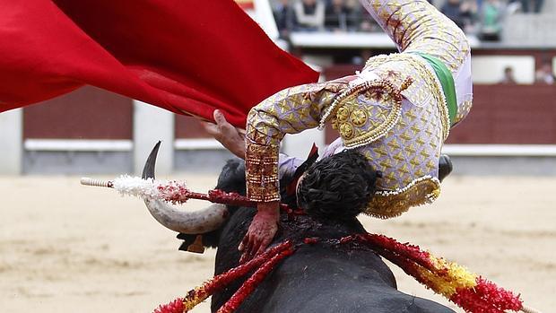 Gallo de Córdoba sufrió una espectacular voltereta