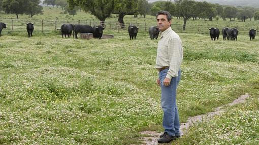 Victorino, con los toros de Madrid al fondo