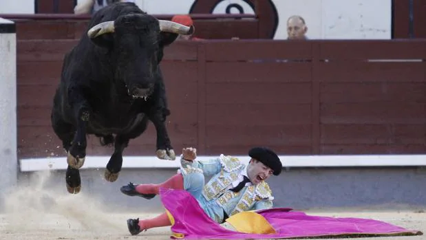 Juan Carlos Carballo, tras ser pisoteado por el último novillo, que salta por encima del torero
