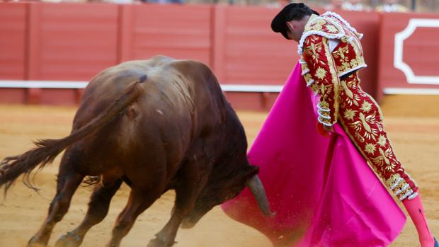 Antonio Ferrera bordó el toreo a la verónica en el quinto toro