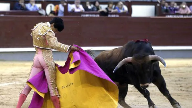Los partidos han presentado una porposición de ley de «regulación de las corridas de toros en Baleares»