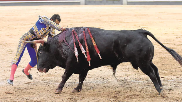 Joselito Adame entra a matar sin muleta al último toro de la desigual corrida de El Torero