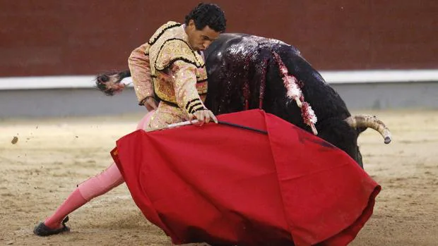 Iván Vicente se dobla con el toro