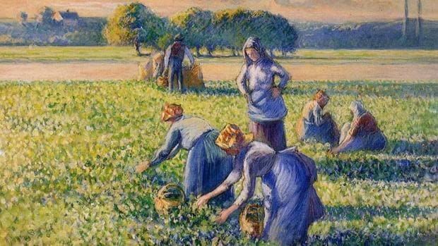 «La cosecha de guisantes», de Camille Pissarro