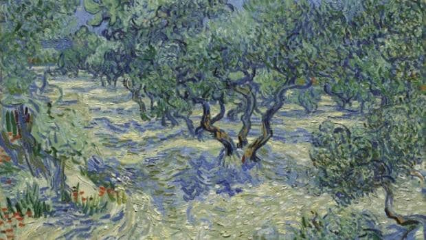 «Los olivos» (1889), de Vincent van Gogh