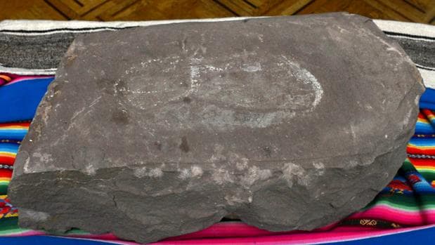 Fotografía cedida por la Agencia Boliviana de Información (ABI) de la huella humana pétrea más antigua del mundo