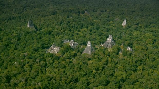 La megalópolis maya Tikal, en medio de la selva