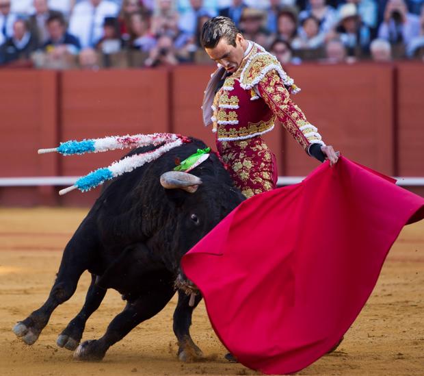 José María Manzanares, con el toro al que desorejó