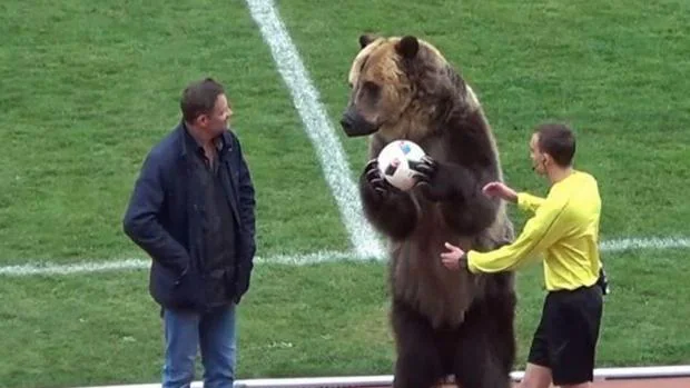 El oso entrega el balÃ³n del partido al Ã¡rbitro