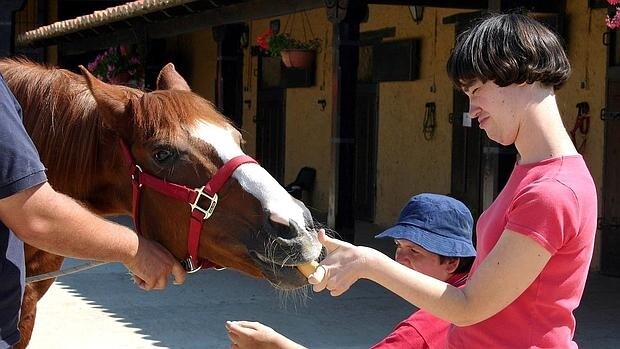 Terapia con caballos en la Fundación Carriegos