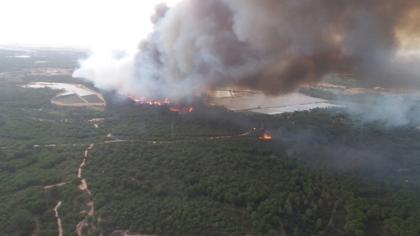 Evacuan a más de 300 personas por una incendio forestal en Doñana
