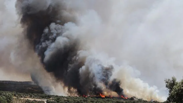Incendio en Pino del Oro, en Zamora