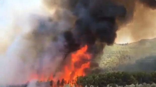 Captura de pantalla de un vídeo subido a Twitter del incendio en Jaén