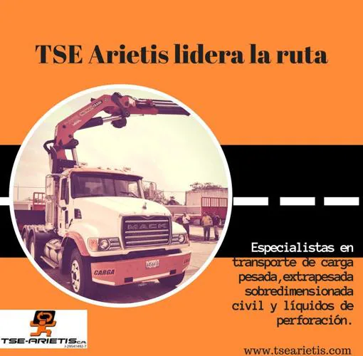 Información promocional de la empresa TSE Arietis