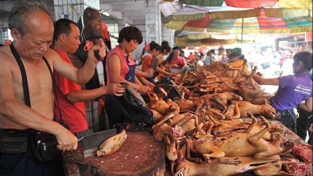 Festival de la Carne de Perro de Yulin (China)