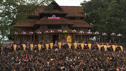 Más de 100 elefantes fueron exhibidos durante los meses de marzo a mayo con motivo del festival Thrissur Pooram (India)