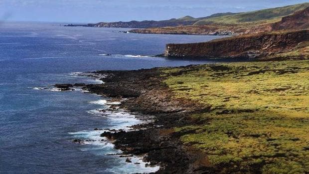 El archipiélago Revillagigedo se suele llamar «Las Galápagos de Norteamérica»