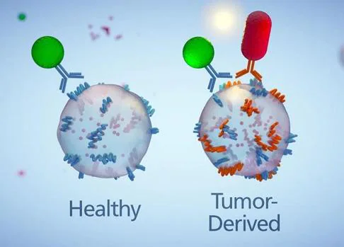 Unión de anticuerpos del chip a exosomas de una células sana y de una célula tumoral (izquierda)