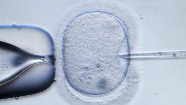 Los expertos esperan que los embriones que buscan modificar sean donados por parejas que tengan muchos almacenados como parte de sus tratamientos de fertilidad