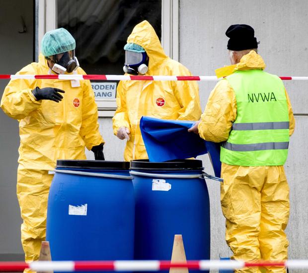 Empleados de la Sanidad con máscaras protectivas están evacuando una granja de patos tras detectarles la gripe aviar en Biddinghuizen, Holanda