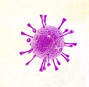 Un virus desarollado para atacar de forma selectiva a las células tumorales
