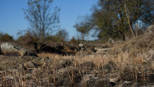 Un arroyo seco fotografiado en un terreno del que es dueño un anciano de 64 años, Antonio Granadeiro, en Alpalhao, Alentejo, en el centro de Portugal
