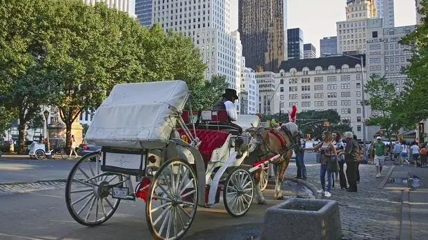 Los carruajes solo podrán circular por Central Park