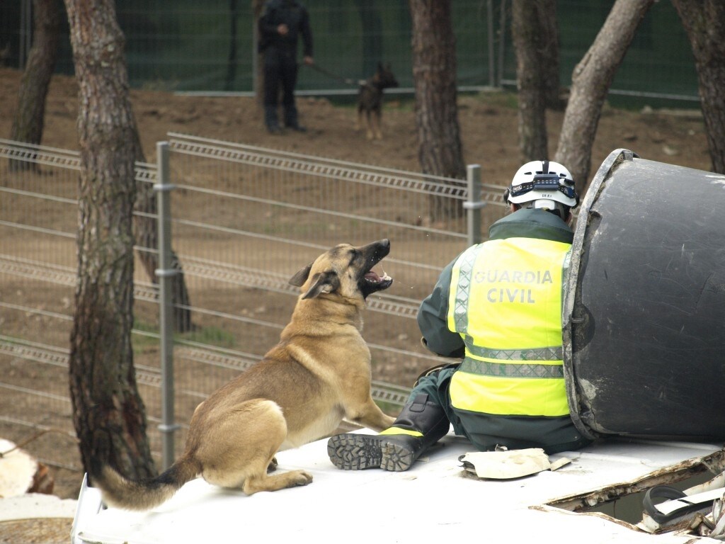 La Unidad Canina de la Guardia Civil estrena pista de catástrofes en El Pardo