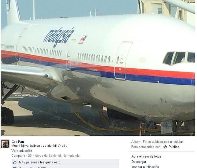 Un pasajero del vuelo MH17 derribado: «Si desaparece, éste es su aspecto»