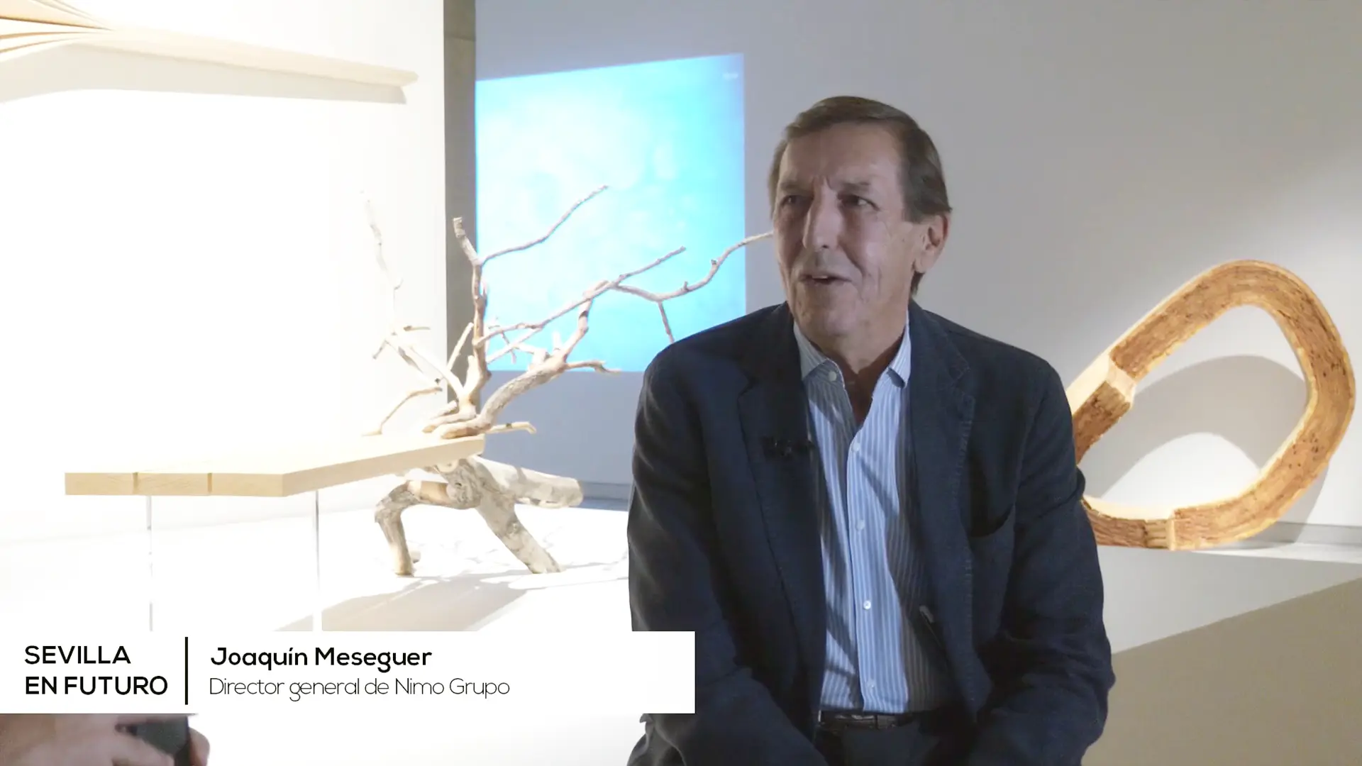 Joaquín Meseguer, director general de Nimo Grupo: «Somos el gran concesionario de Toyota y Lexus en el sur de España»