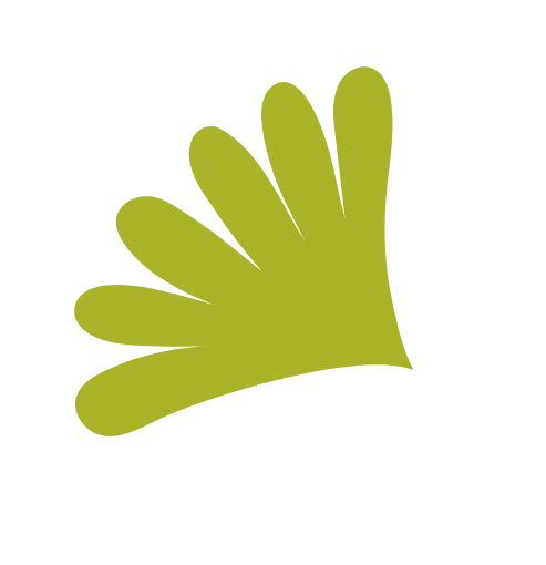 Decorativo 4