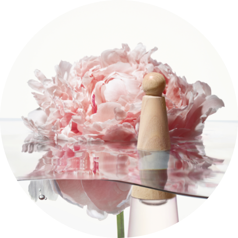 Flor de peonía